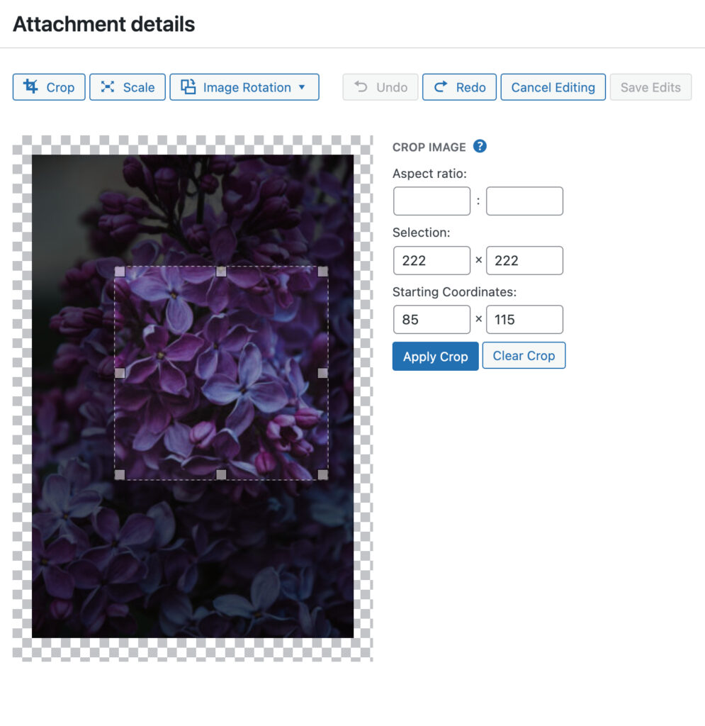 edit an image using wordpress Crop
