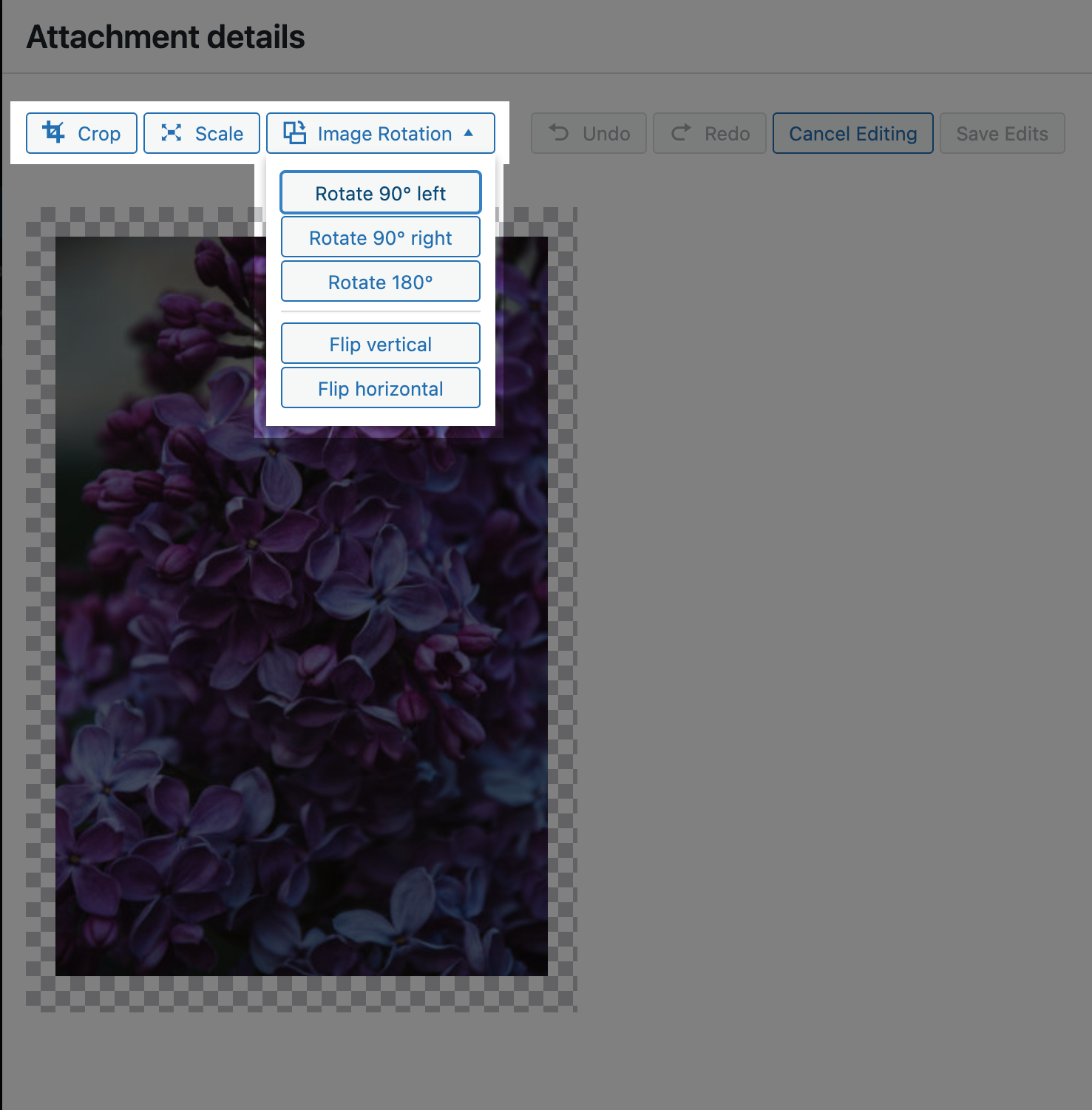 edit an image using wordpress Edit Tools