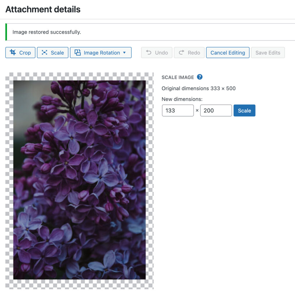 edit an image using wordpress Scale